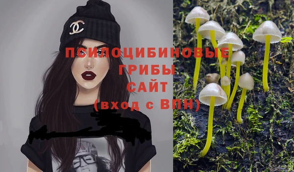 первитин Нязепетровск