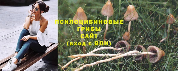 первитин Нязепетровск