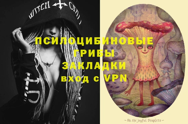 гашик Новодвинск