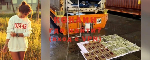 mdpv Новозыбков
