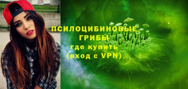 гашик Новодвинск