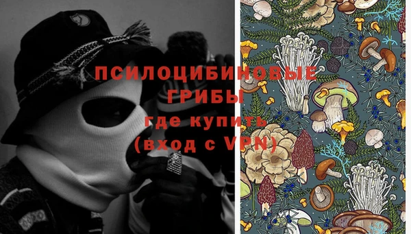 марки nbome Заречный