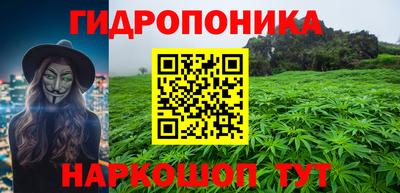 гидра Гусев