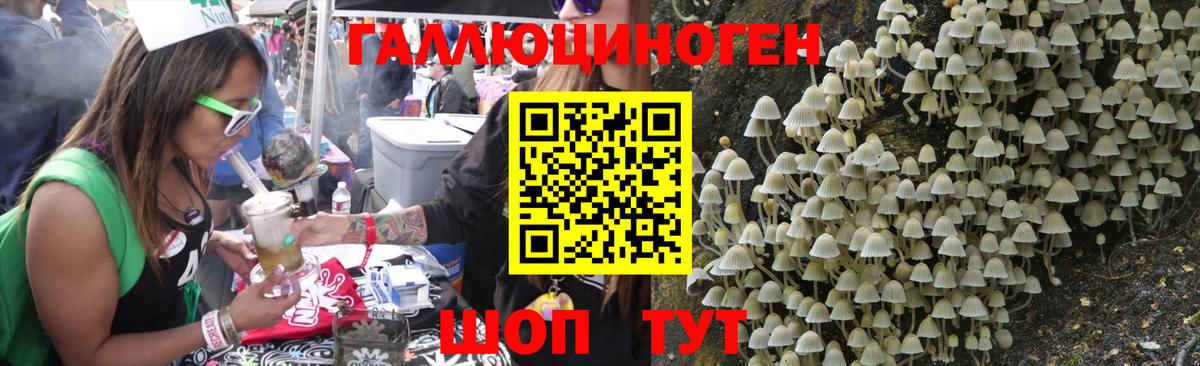 где найти наркотики  Кизляр  Псилоцибиновые грибы прущие грибы 