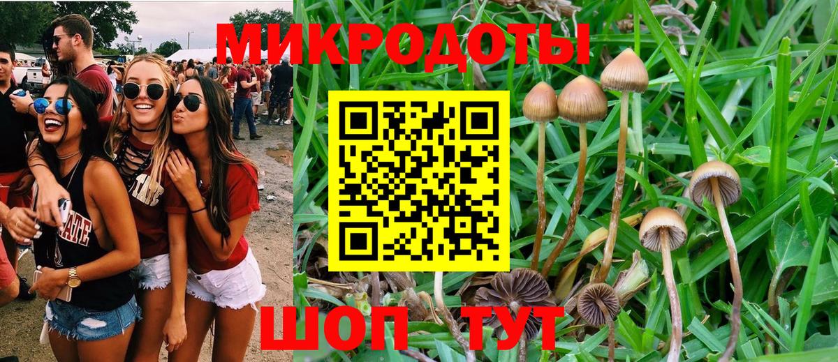 Псилоцибиновые грибы прущие грибы  Вход с VPN  Кизляр 