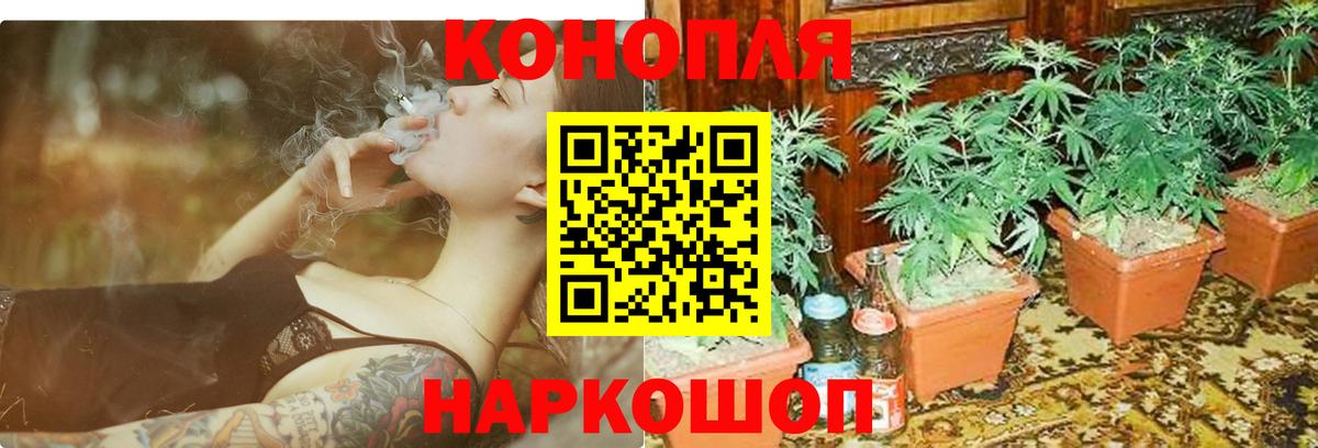 Бошки марихуана тримм  МАРИХУАНА Amnesia  Каннабис THC 21%  Шишки марихуана MAZAR  Кизляр 